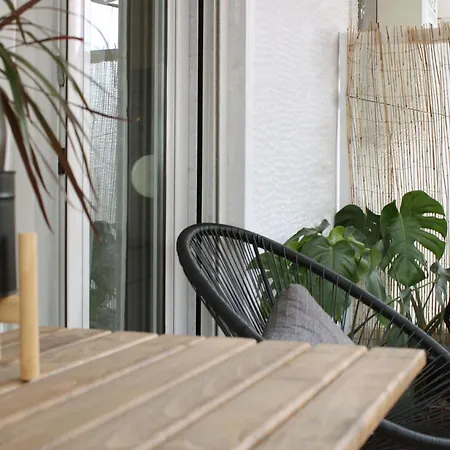 Apartment Thesis